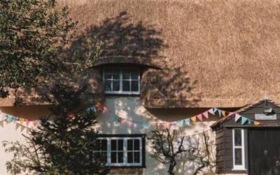 Why are thatched roofs expensive to insure?